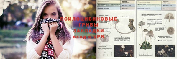 шишки Армянск