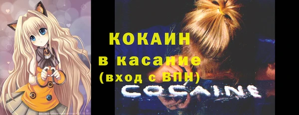 шишки Армянск