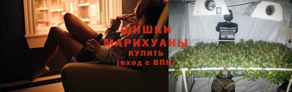 шишки Армянск