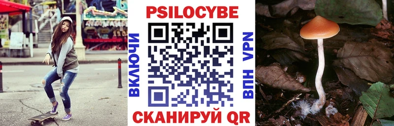 ОМГ ОМГ ТОР  Обоянь  Галлюциногенные грибы GOLDEN TEACHER 