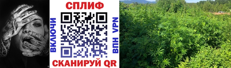 Канабис SATIVA & INDICA  ОМГ ОМГ маркетплейс  Обоянь  наркошоп 