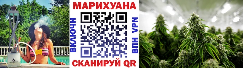 Канабис сатива Обоянь